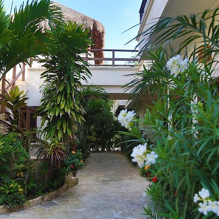 Xibalba Hotel Dive Center Τουλούμ Εξωτερικό φωτογραφία