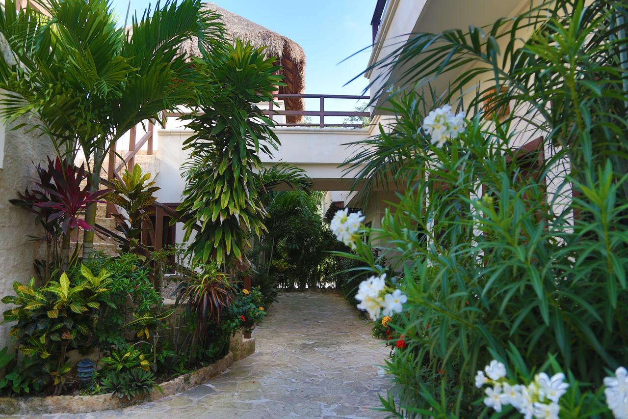 Xibalba Hotel Dive Center Τουλούμ Εξωτερικό φωτογραφία