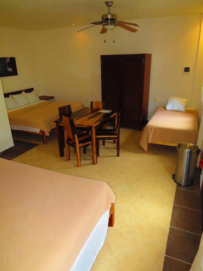 Xibalba Hotel Dive Center Τουλούμ Δωμάτιο φωτογραφία