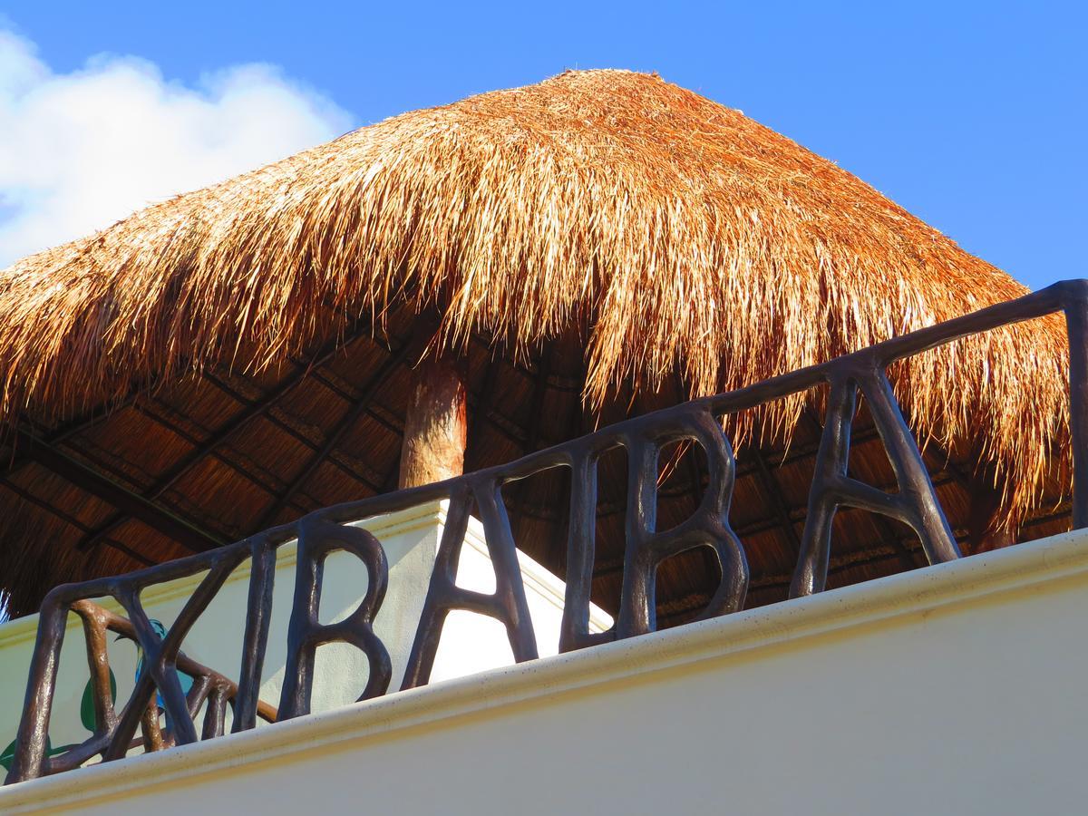 Xibalba Hotel Dive Center Τουλούμ Εξωτερικό φωτογραφία