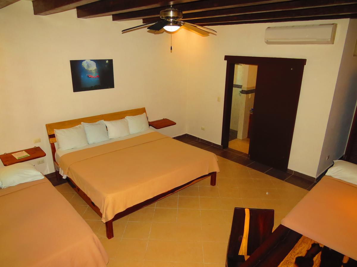 Xibalba Hotel Dive Center Τουλούμ Δωμάτιο φωτογραφία
