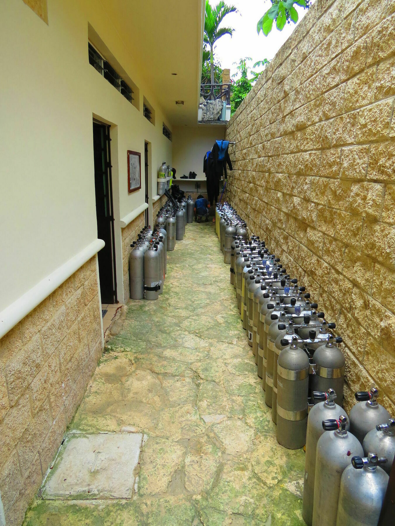 Xibalba Hotel Dive Center Τουλούμ Εξωτερικό φωτογραφία