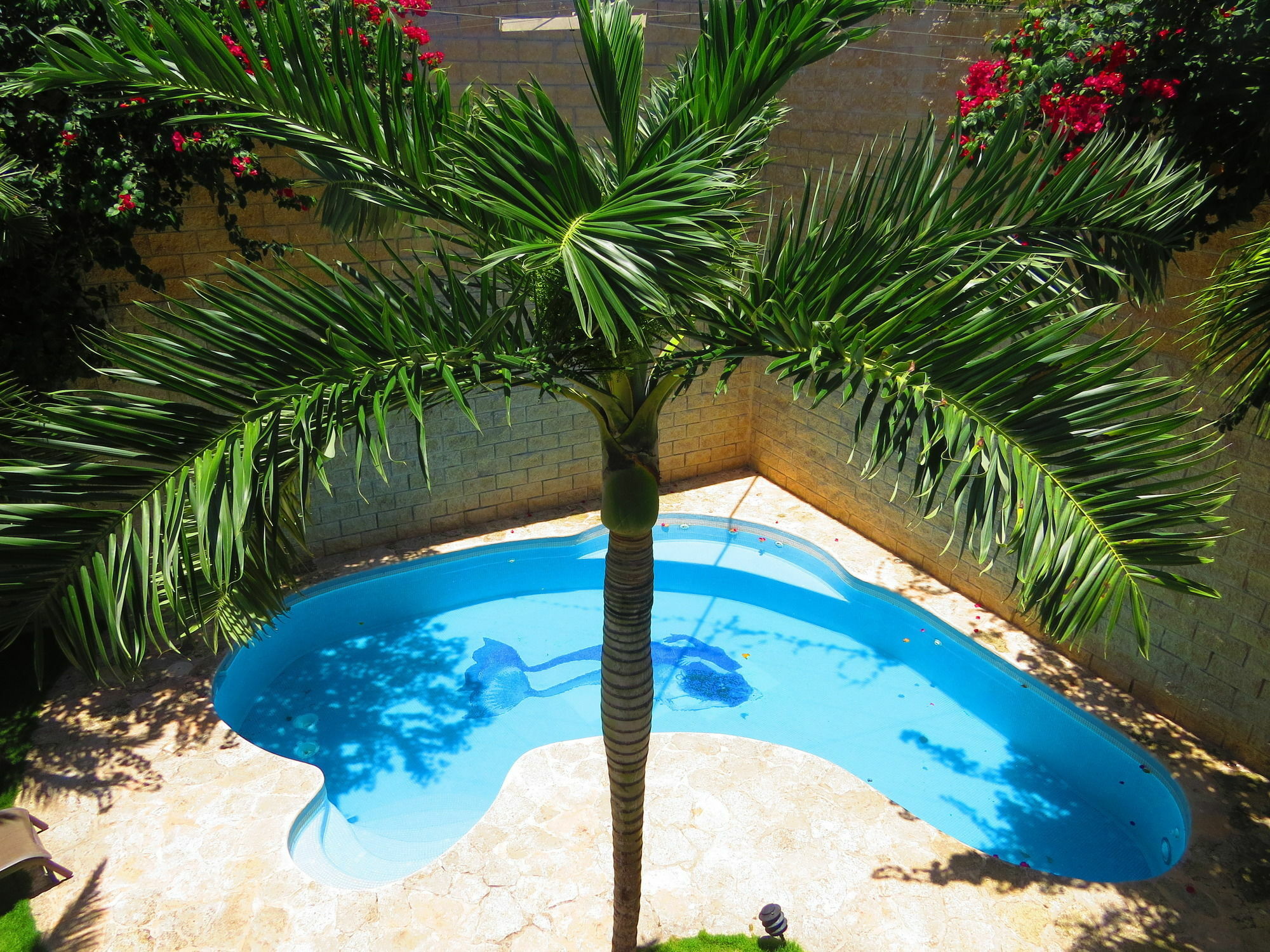 Xibalba Hotel Dive Center Τουλούμ Εξωτερικό φωτογραφία